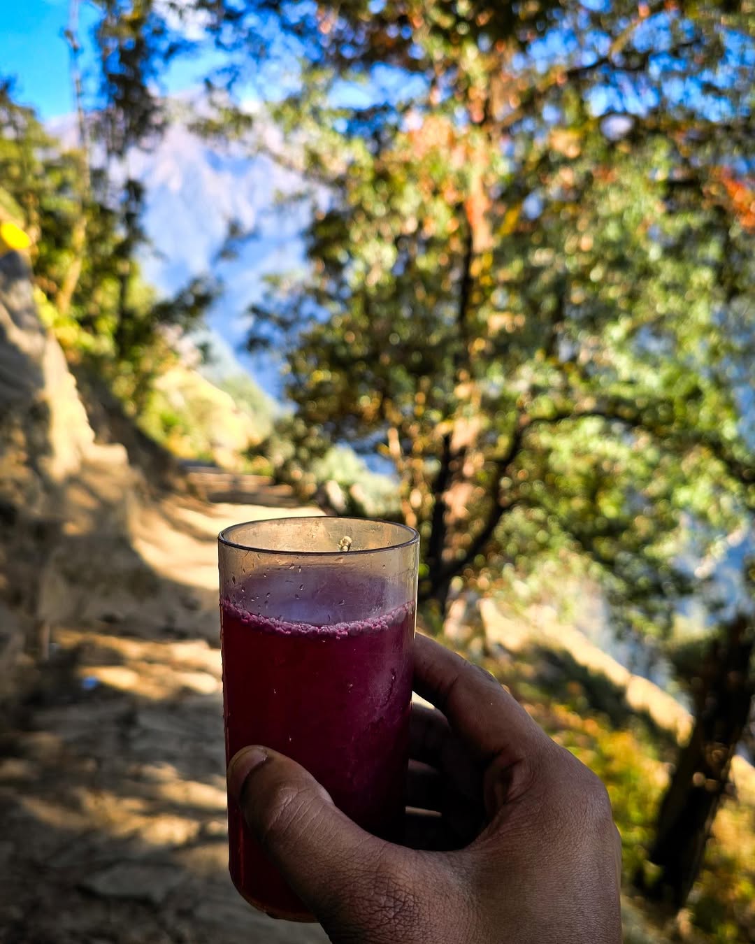 madhmaheshwar tour package